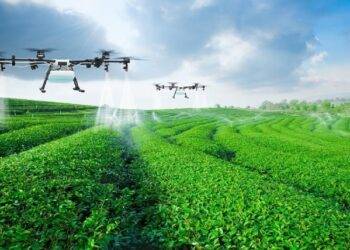 Agricultural Tech Industry: The Future of Vietnam