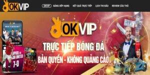 Introducing Okvip Bookmaker Alliance The No. 1 Betting Brand 20232