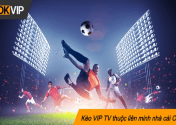 Experience Okvip sports betting for every win