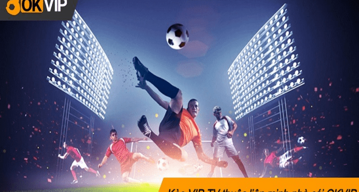 Experience Okvip sports betting for every win