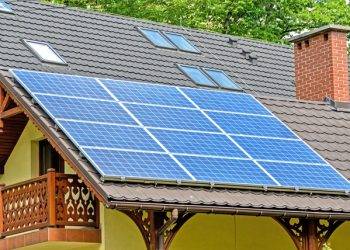 How Much Does It Cost to Pigeon Proof Solar Panels