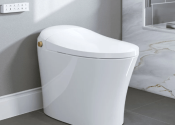 Elevating Comfort with the Horow T10: The Ultimate Toilet with Built-In Bidet
